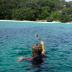 Snorkeling with a Sea Turtle